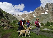 Al Rif. Ponti (2559 m), il rifugio del Disgrazia, dalla Valle di Preda Rossa il 23 giugno 2015 - FOTOGALLERY